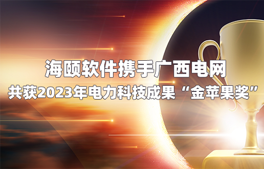 江南体育官网软件携手广西电网共获2023年电