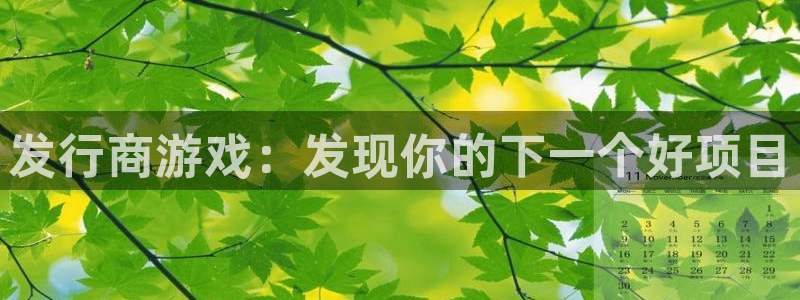 bg大游电子商务有限公司怎么样知乎：发行商游戏：发现你的下一个好项目