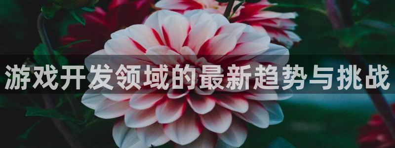 bg大游官网登录注册失败：游戏开发领域的最新趋势与挑战
