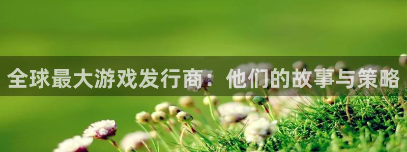 bg大游智邦(北京)品牌策划有限公司