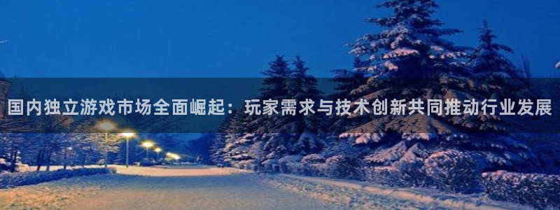 bg大游官网注册平台登录入口：国内独立游戏市场全面崛起：玩家需求与技术创新共同推动行业发展