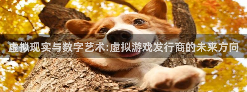 bg大游官网登录注册账号是什么意思：虚拟现实与数字艺术:虚拟游戏发行商的未来方向