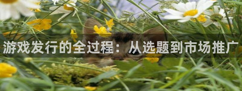bg大游子酒业