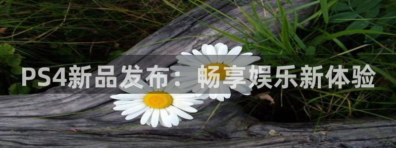 陕西bg大游子文化创意骗局：PS4新品发布：畅享娱乐新体验
