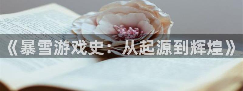 bg大游子文化创意有限公司特邀玩家
