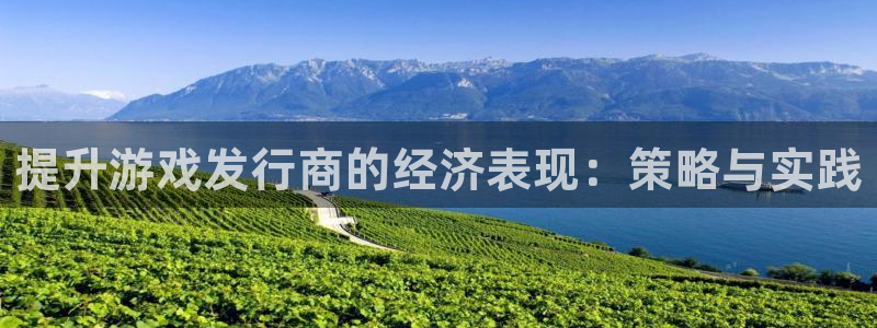 bg大游子文化游戏：提升游戏发行商的经济表现：策略与实践