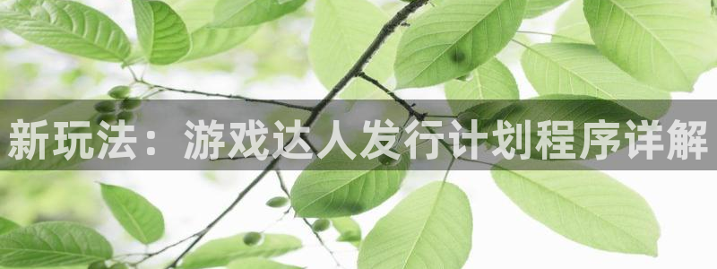 bg大游官网客服服务怎么样：新玩法：游戏达人发行计划程序详解